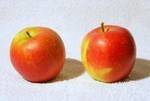 Pommes, poires et kiwis-Pomme akane Reconv. bio - Kg-BIO RENNES