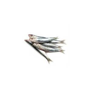 Poissons frais-sardines - 4 pièces-POISSONNERIE SOHIER Poissons frais-sardines - 4 pièces-POISSONNERIE SOHIER