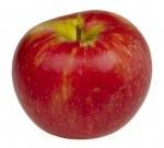 Les fruits d'ici Pomme Jonagold bio - Kg VERGER MITAN CRANNE
