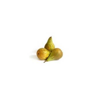 Fruits frais Poire conférence (Pays bas)- 500 grs SUBERY NON BIO