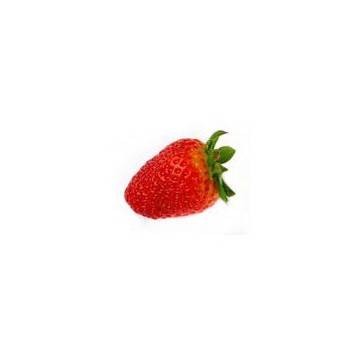 Les fruits d'ici fraise Extra SAVEOL - 250 g SUBERY NON BIO