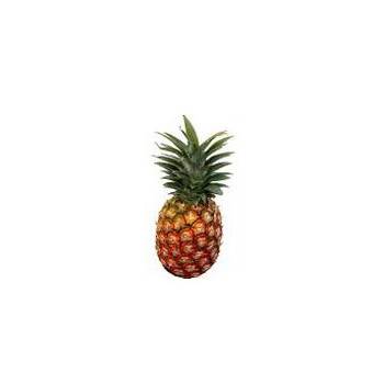 Fruits BIO-l'Ananas bio - pièce-BIO RENNES