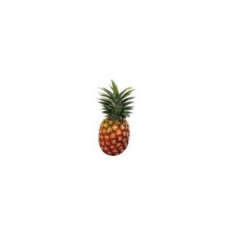l'Ananas bio - pièceLes fruitsBIO RENNES