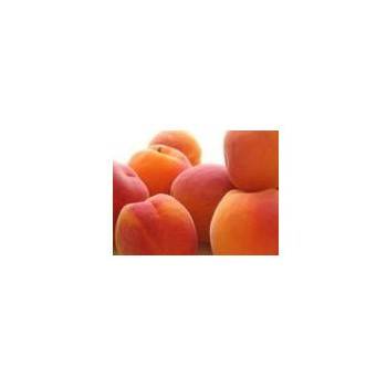 Fruits et légumes abricot (Esp)- 500 g SUBERY NON BIO