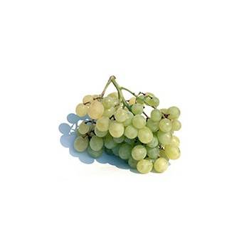 Fruits BIO raisin bio blanc (Italie) sans pepin - les 500 g BIO RENNES
