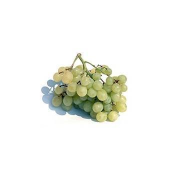 Fruits BIO raisin bio blanc- les 500 g BIO RENNES