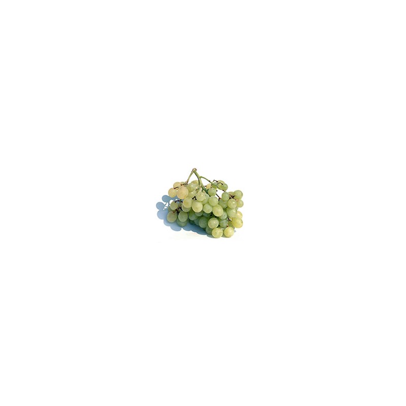 Fruits BIO raisin bio blanc- les 500 g BIO RENNES Fruits BIO raisin bio blanc- les 500 g BIO RENNES