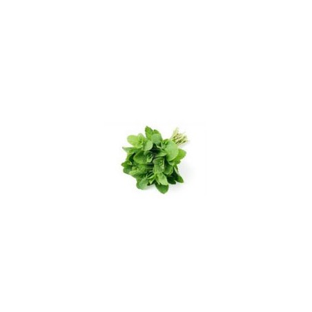 menthe - barquetteFruits et légumesSUBERY NON BIO