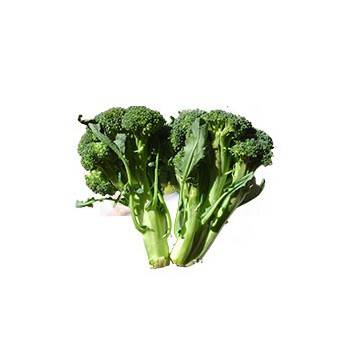 catalogue produits-Brocolis bio - 700 grs env (Espagne)-BIO RENNES