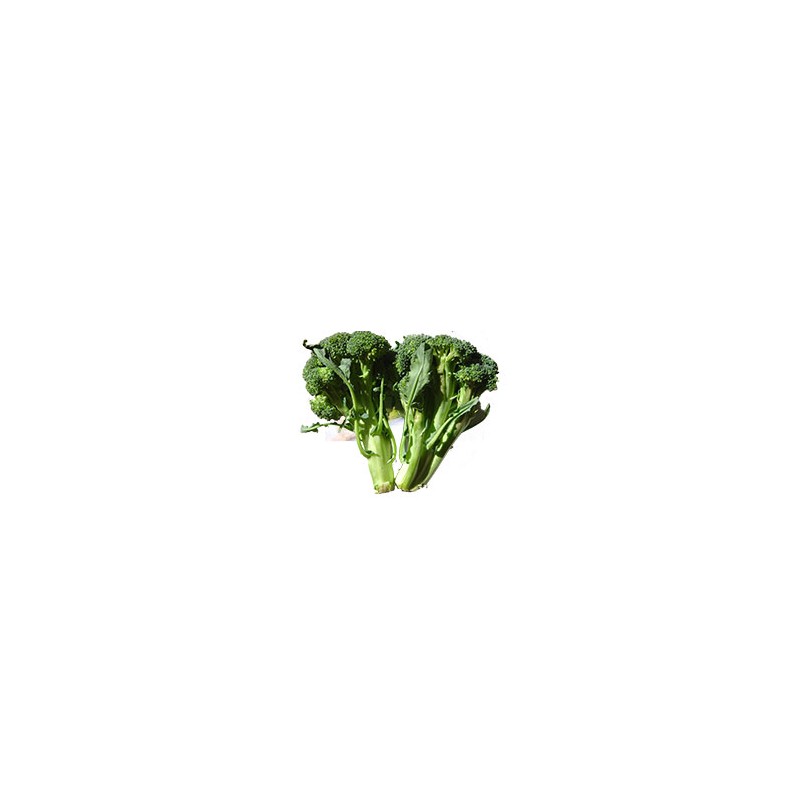 Légumes biologiques-Brocolis bio (Espagne) - 700 grs env-BIO RENNES Légumes biologiques-Brocolis bio (Espagne) - 700 grs env-BIO RENNES