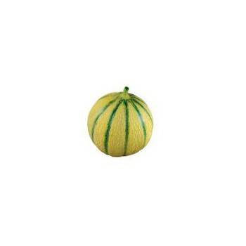 Fruits et légumes Melon (esp)- 650/800g SUBERY NON BIO