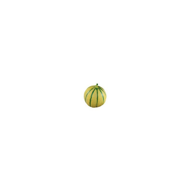 Fruits et légumes Melon (esp)- 650/800g SUBERY NON BIO Fruits et légumes Melon (esp)- 650/800g SUBERY NON BIO