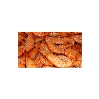 Poissonnerie-crevettes roses (cuites) - Barquette 2 kg-La criée Rennaise