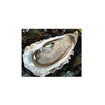 Poissonnerie-huitres creuses de cancale N°3 - La douzaine-La criée Rennaise
