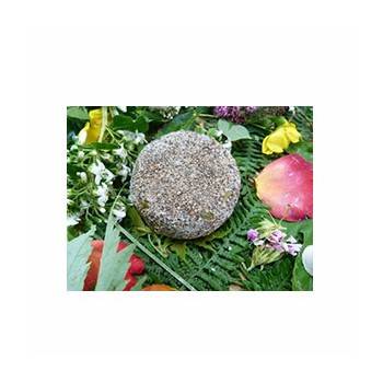 Le frais-p'tit brebis frais bio au poivre-180 g-LA CAPRARIUS