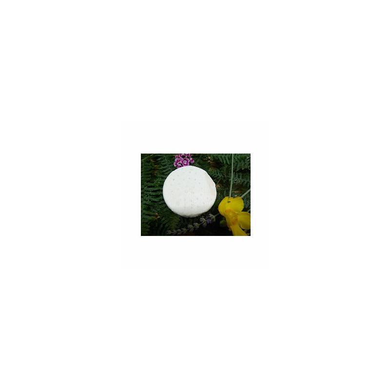 Sourians bio chèvre frais - 160g-Produits frais-LA CAPRARIUS Sourians bio chèvre frais - 160g-Produits frais-LA CAPRARIUS