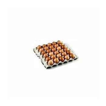 Oeufs plaque 30 calibre M (bio)