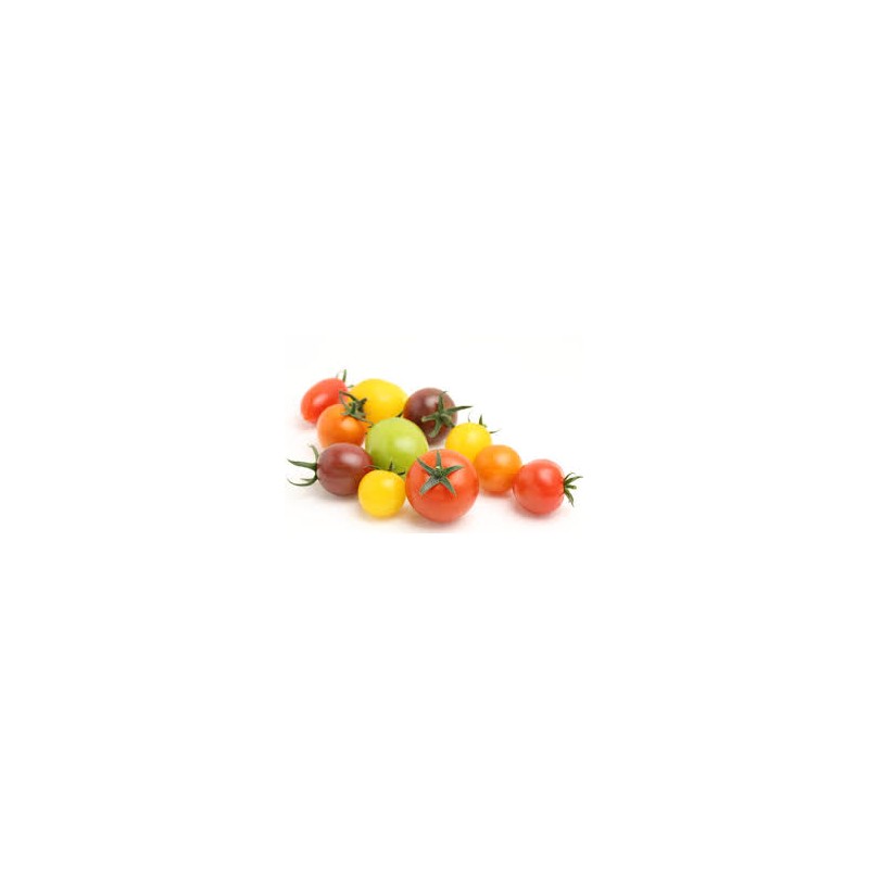 Tomates et concombres-tomate cerise couleur -250grs-SUBERY NON BIO Tomates et concombres-tomate cerise couleur -250grs-SUBERY NON BIO