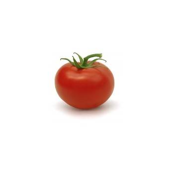 Légumes frais biologiques-tomate ronde bio au kg-BIO RENNES