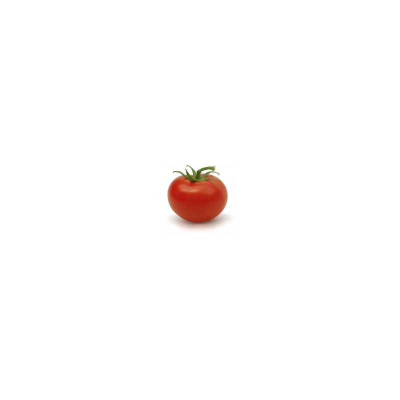 Légumes frais biologiques tomate ronde bio au kg BIO RENNES