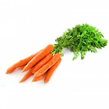Carottes, Betteraves, navets Carottes bottes bio - La botte LEGUMES DE VALBO