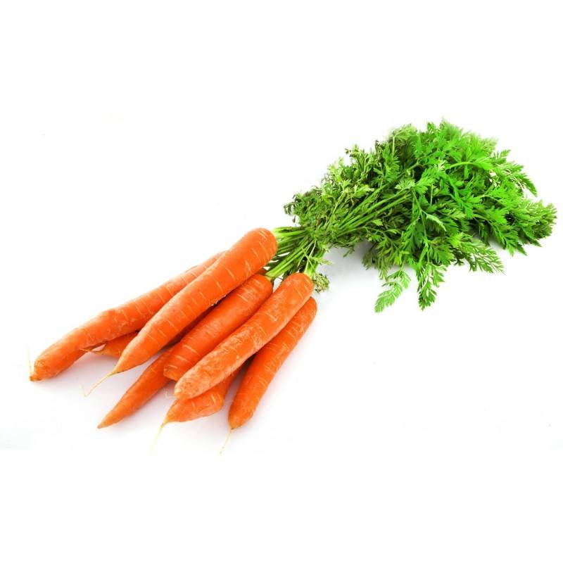 Fruits et légumes-Carottes bottes bio - La botte-BIO RENNES Fruits et légumes-Carottes bottes bio - La botte-BIO RENNES