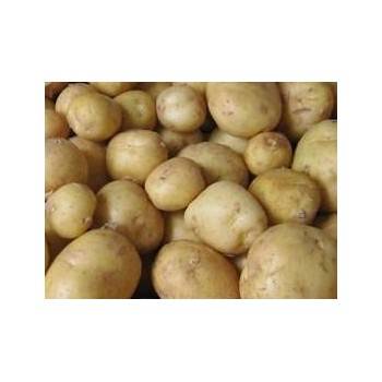 Poireaux, pommes de terre pomme de terre allians bio-1kg BIO RENNES