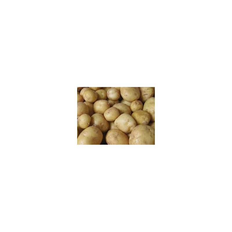 pomme de terre alliance bio-1kgPoireaux, pommes de terreBIO RENNES