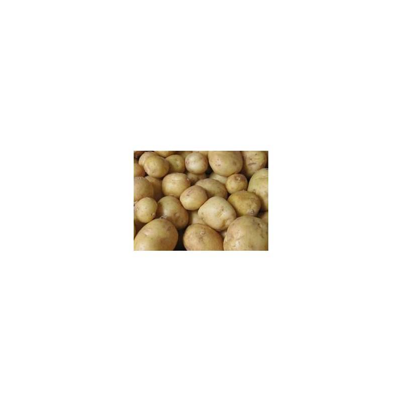 Poireaux, pommes de terre pomme de terre allians bio-1kg BIO RENNES
