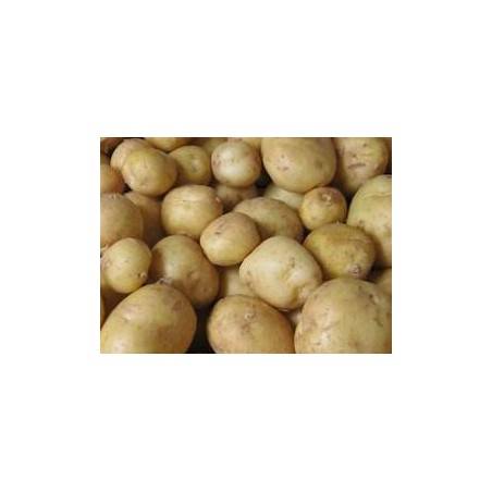 pomme de terre alliance bio-1kgPoireaux, pommes de terreBIO RENNES