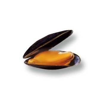 Coquillages et crustacés-Moule de bouchot - 500 g-POISSONNERIE SOHIER