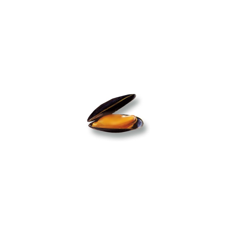 Coquillages et crustacés-Moule de bouchot - 500 g-POISSONNERIE SOHIER Coquillages et crustacés-Moule de bouchot - 500 g-POISSONNERIE SOHIER