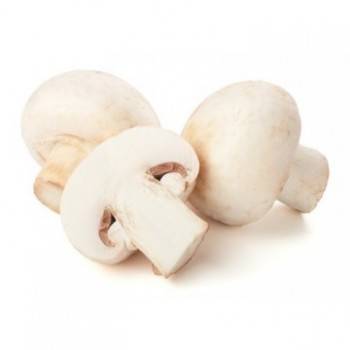 Choux, radis ...-Champignon blanc barquette - par 500g-SUBERY NON BIO