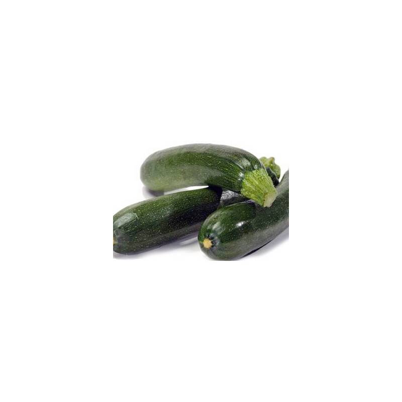 Commander en ligne-Courgette Bio - Kg-BIO RENNES