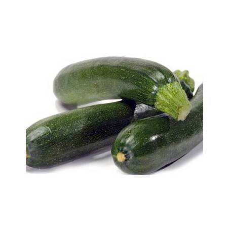 Courgette Bio au KgFruits légumes frais, autresMarie et Ludovic