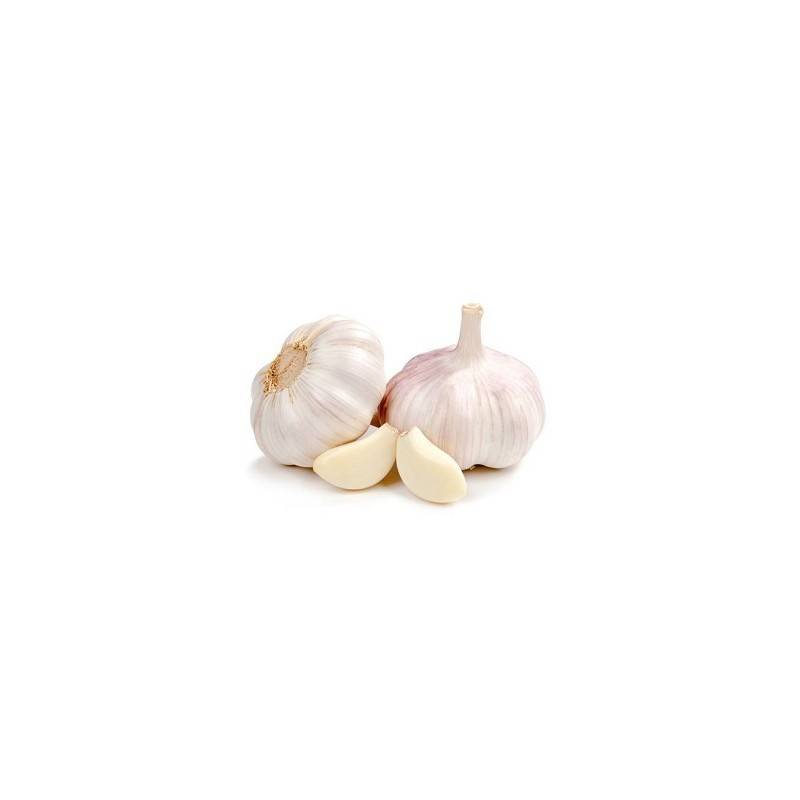 Ail et oignons bio-Ail bio 250 grs (Espagne)-BIO RENNES Ail et oignons bio-Ail bio 250 grs (Espagne)-BIO RENNES