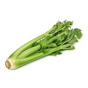 Légumes biologiques-Celeri branche bio- la botte-RONAN LE GALL