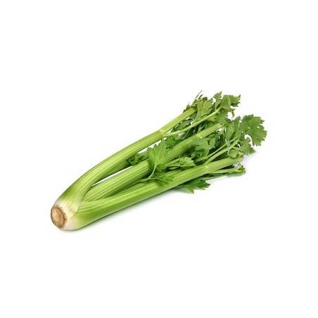 Celeri branche bio- la botteDivers légumes frais bioRONAN LE GALL