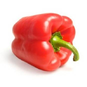 Fruits et légumes Poivron Rouge Bio- 500 g BIO RENNES
