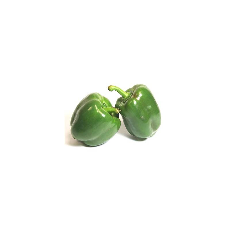 Fruits et légumes-Poivron vert biologique (Espagne) - 500 grs-BIO RENNES Fruits et légumes-Poivron vert biologique (Espagne) - 500 grs-BIO RENNES