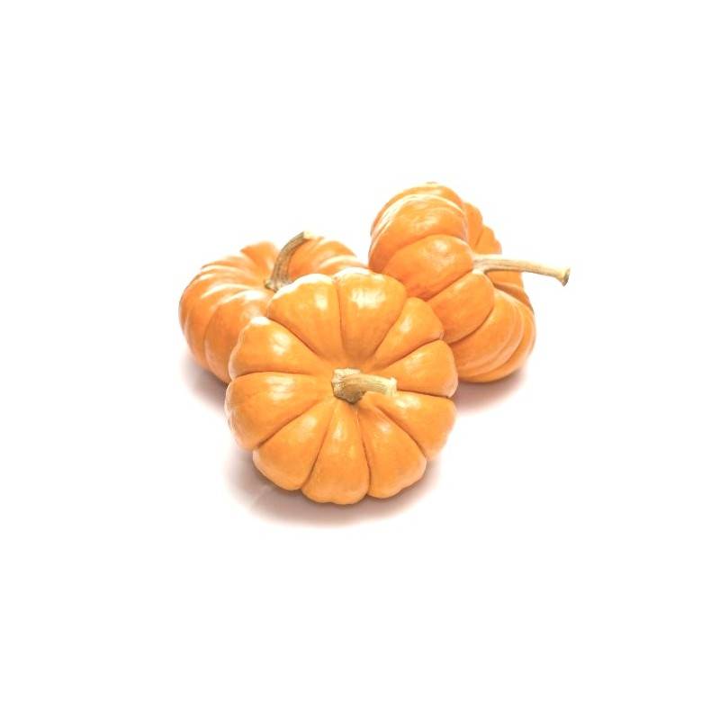 Potimarron, courges-Courge Jack be little- La pièce-LEGUMES DE VALBO Potimarron, courges-Courge Jack be little- La pièce-LEGUMES DE VALBO