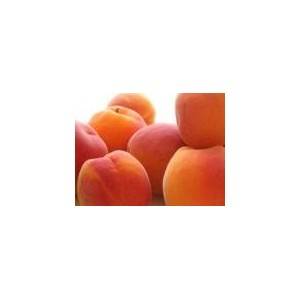 Fruits frais Abricot bio français - 500 grs BIO RENNES