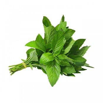 Fruits et légumes-menthe - bouquet-SUBERY NON BIO