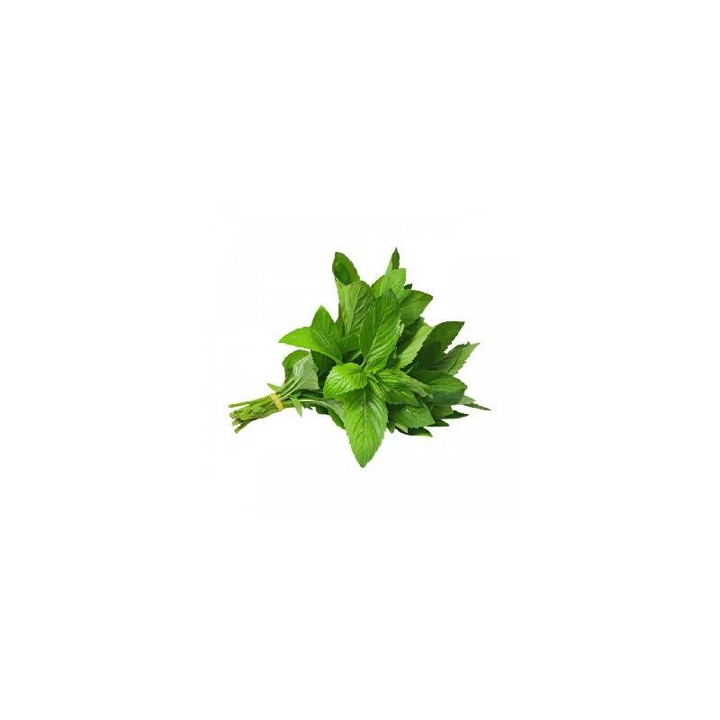 Fruits et légumes-menthe - bouquet-SUBERY NON BIO Fruits et légumes-menthe - bouquet-SUBERY NON BIO