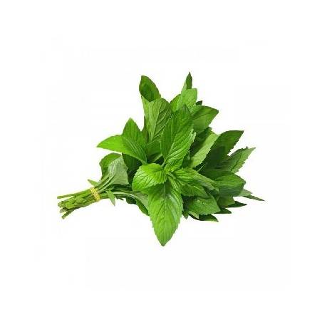 menthe - barquetteFruits et légumesSUBERY NON BIO
