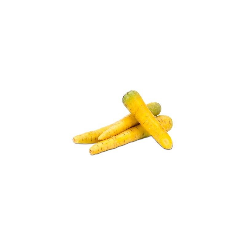 Carottes, Betteraves, navets Carotte bio Jaune- kg GABILLARD EARL Carottes, Betteraves, navets Carotte bio Jaune- kg GABILLARD EARL