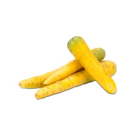 Carotte bio Jaune- kgCarottes, Betteraves, navetsRONAN LE GALL