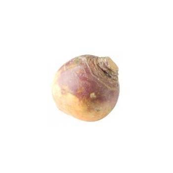 Légumes biologiques-rutabaga biologique- kg-GABILLARD EARL