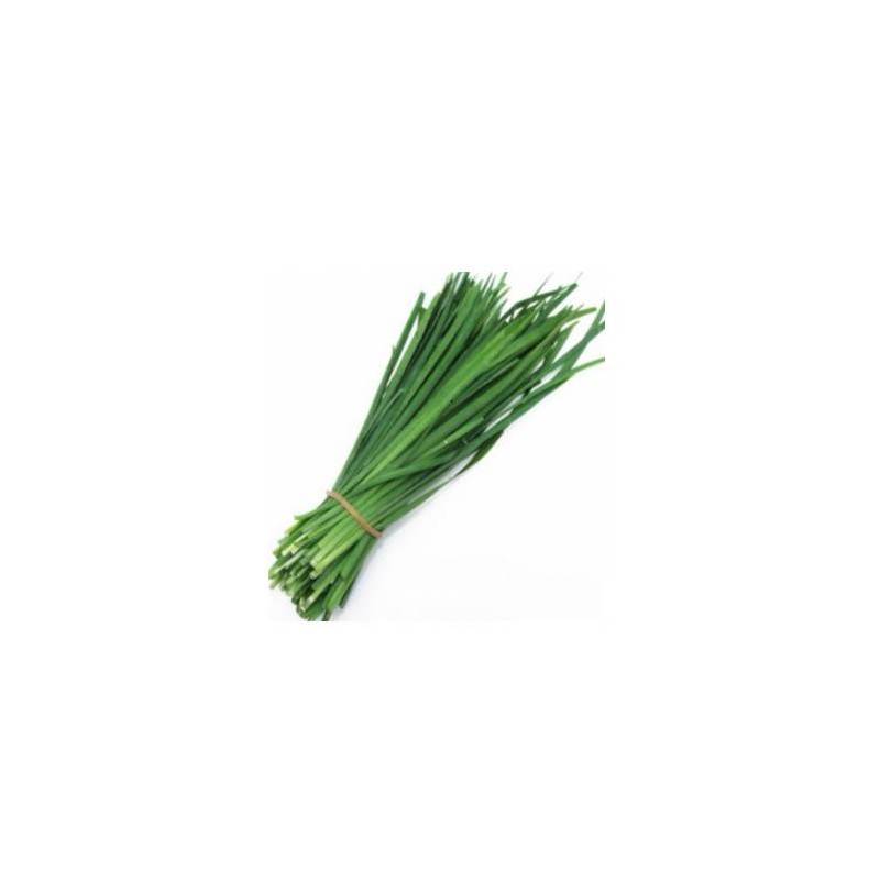 Herbes aromatiques ciboulette - Botte SUBERY NON BIO