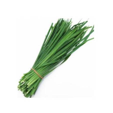 ciboulette - BotteHerbes aromatiquesSUBERY NON BIO